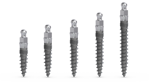 MDL Small Dental Implants